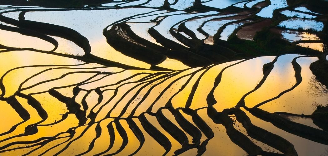 Les rizières en terrasses de Yuanyang en eau, embrasées par le soleil couchant