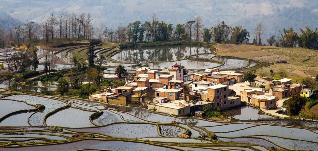 Un village hani entouré de rizières en terrasses