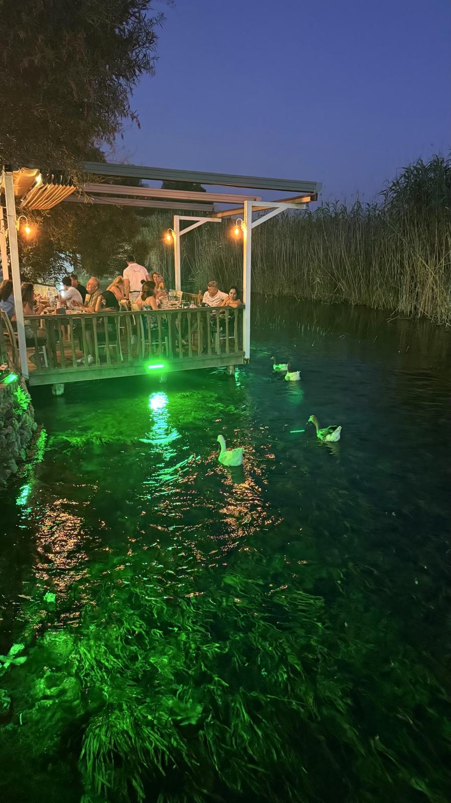 Restaurant sur la rivière, éclairé de nuit