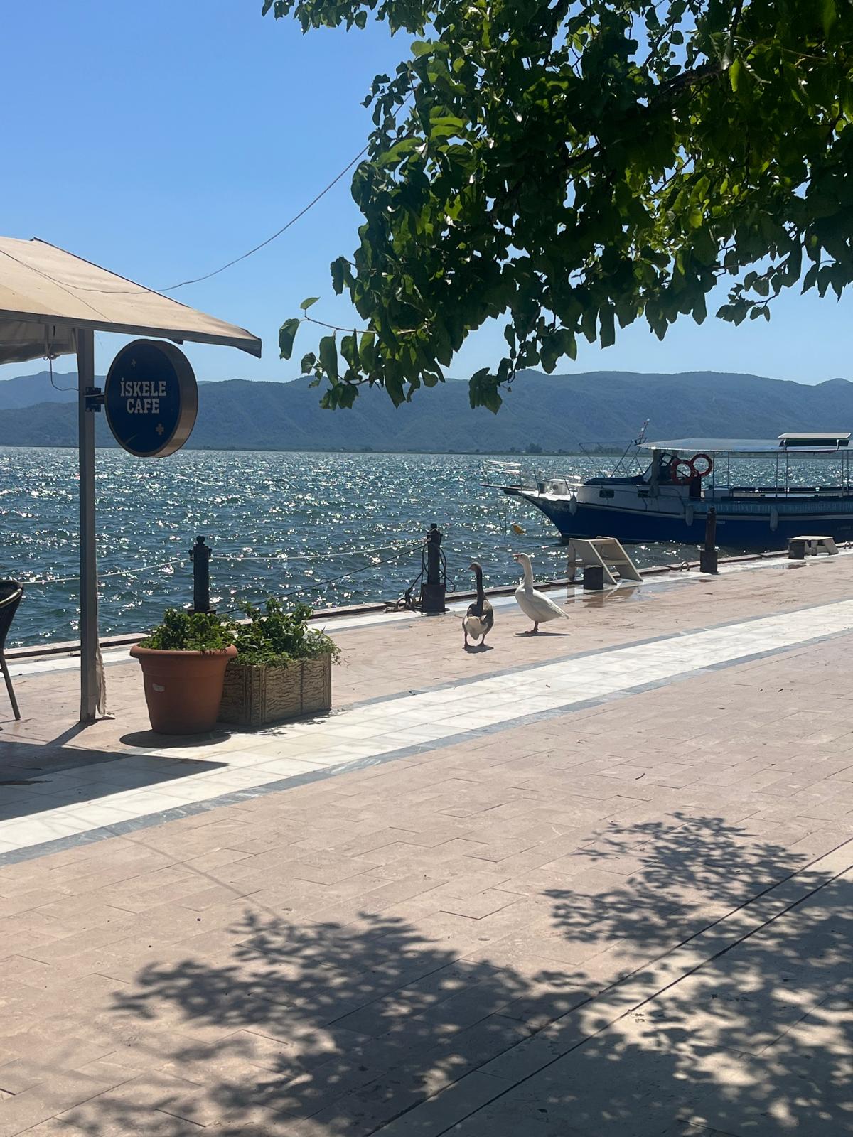 Café au bord du lac avec barque