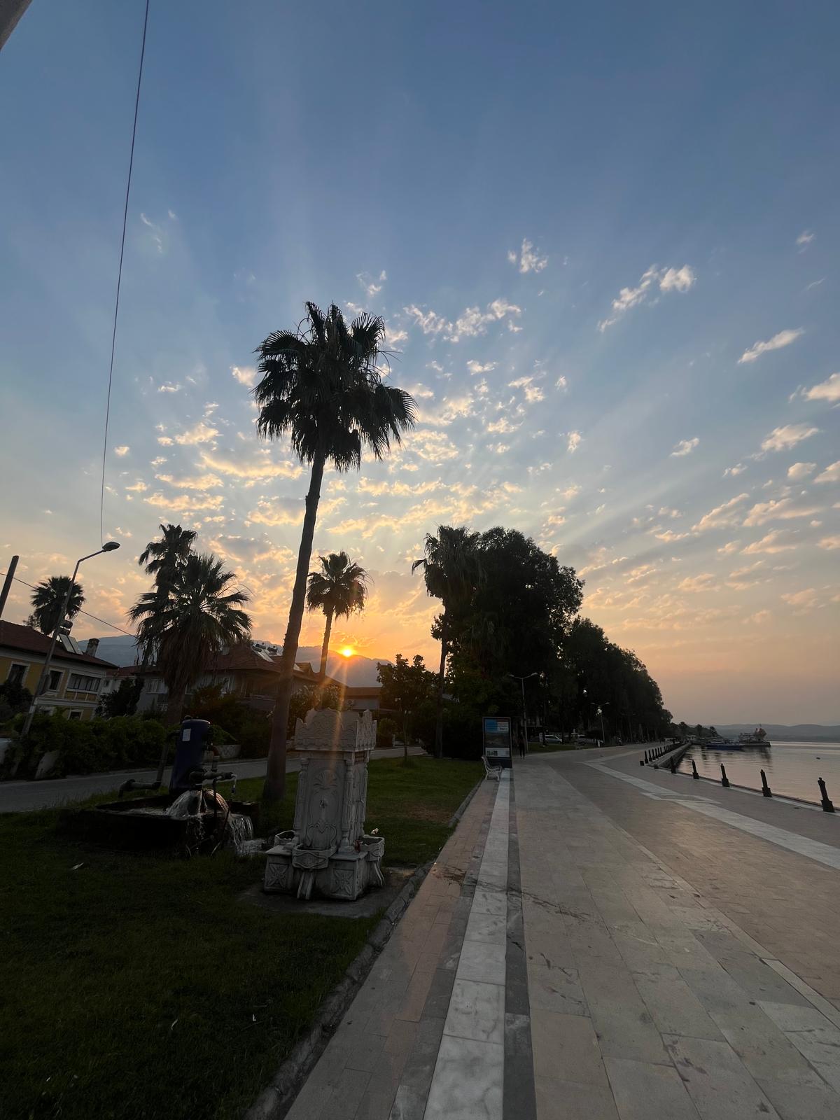 Coucher de soleil sur la promenade bordée de palmiers